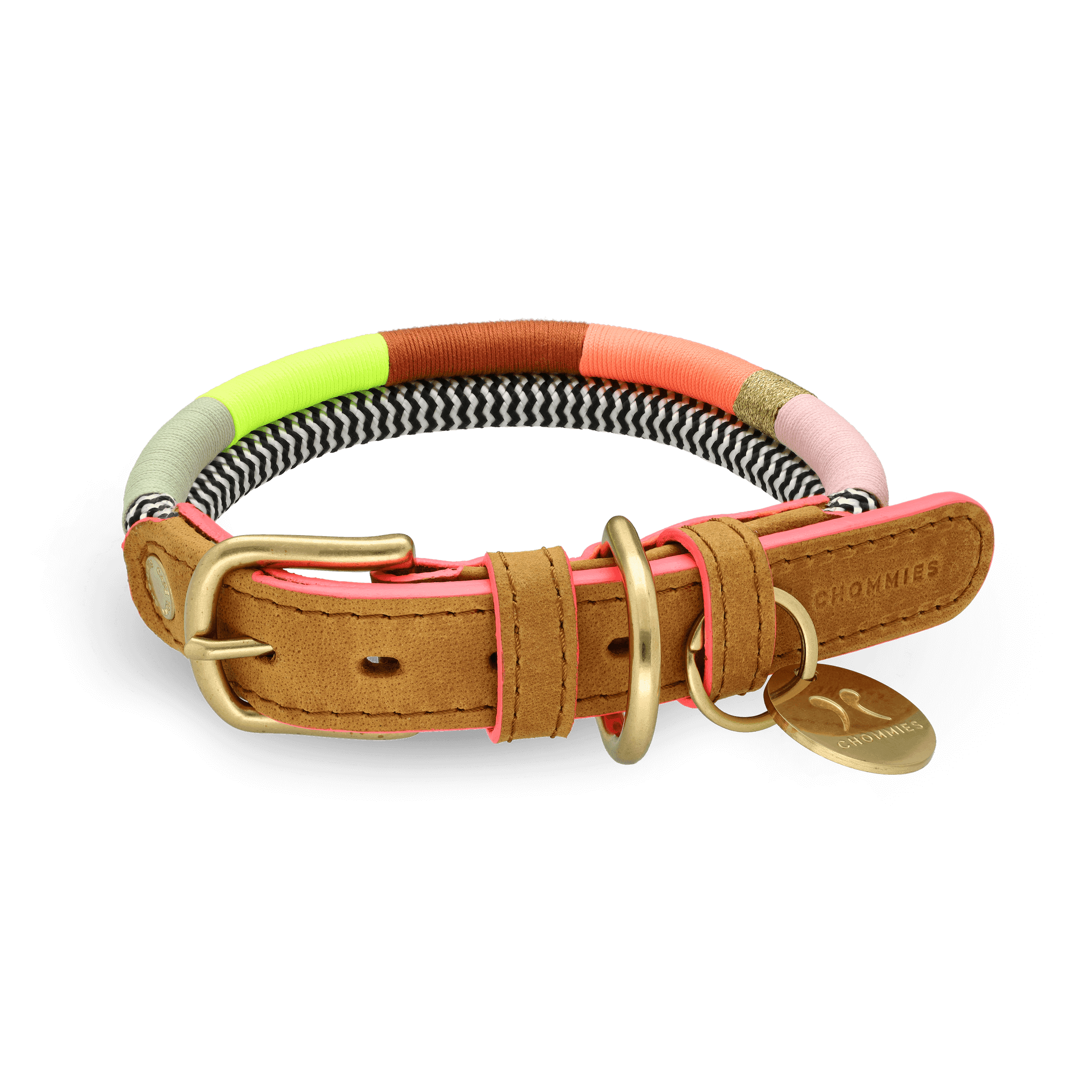 Adjustable Dog Collar | Popsicle