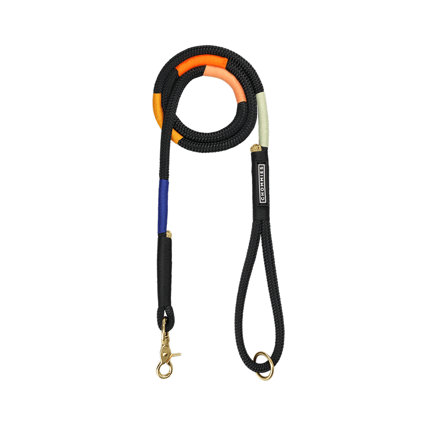 Everyday Dog Leash | Shongololo on Black