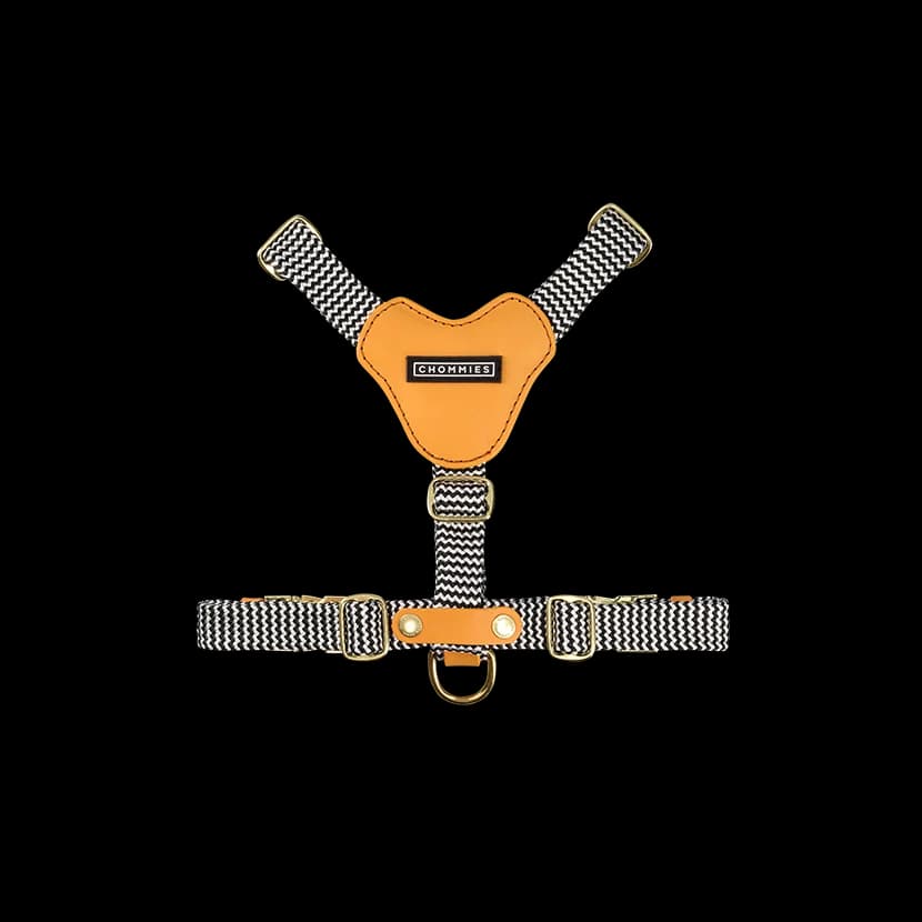 Adjustable Leather Dog Harness | Kumquat