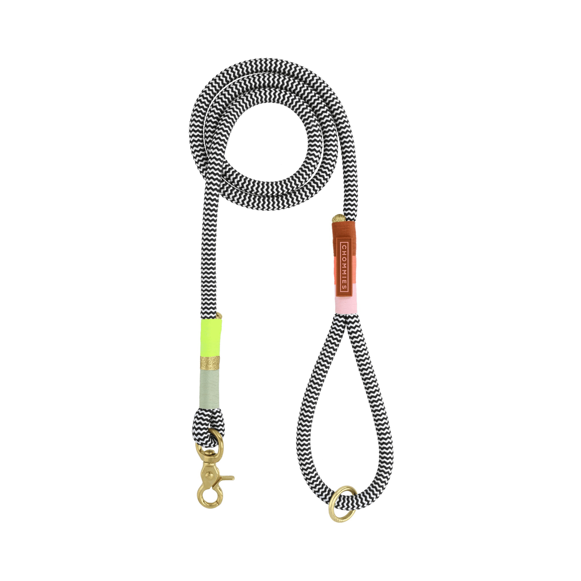 Everyday Dog Leash | Popsicle