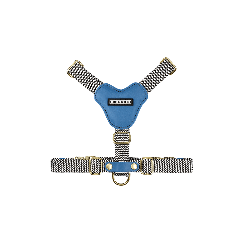 Adjustable Leather Dog Harness | Bloublommetjie