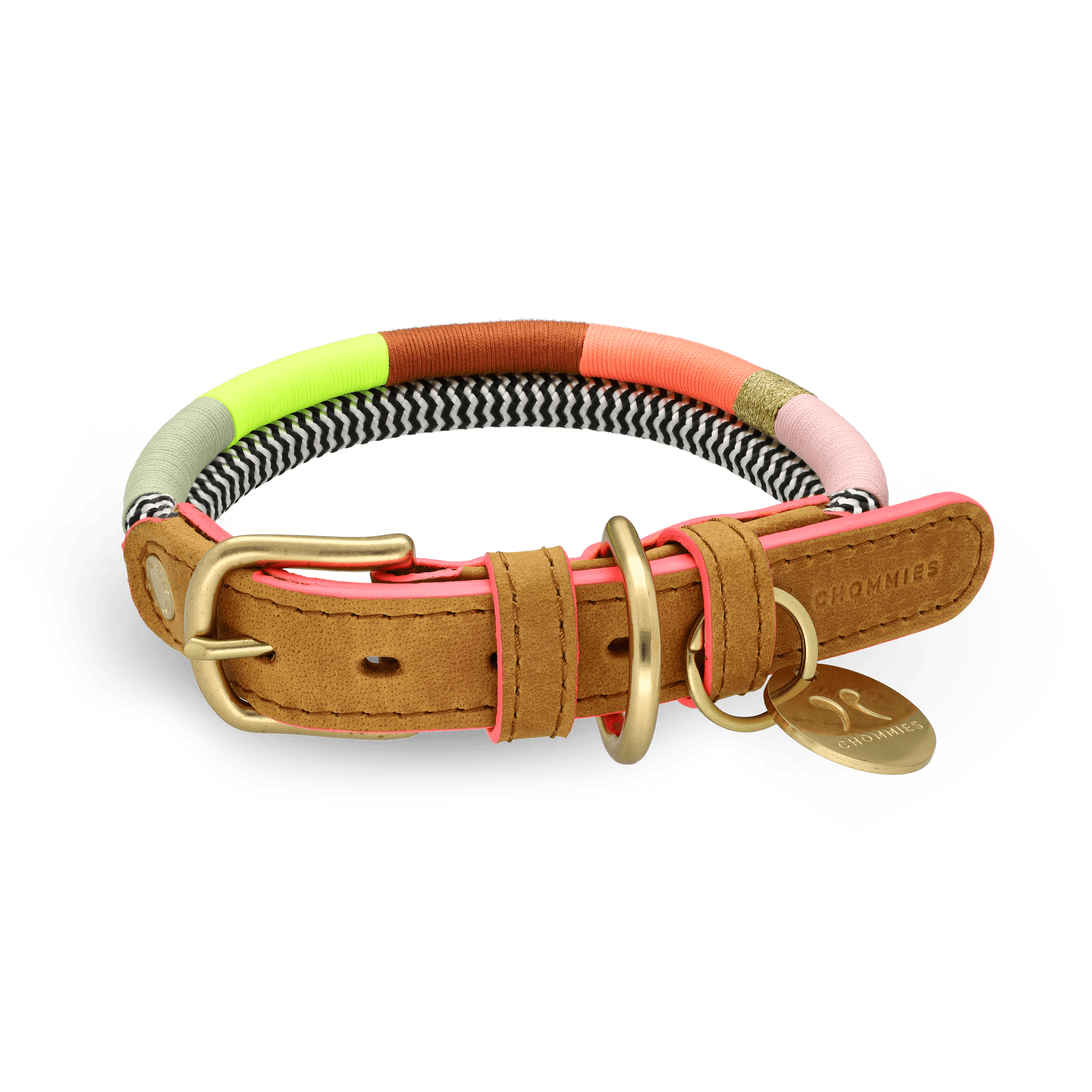 Adjustable Dog Collar | Popsicle