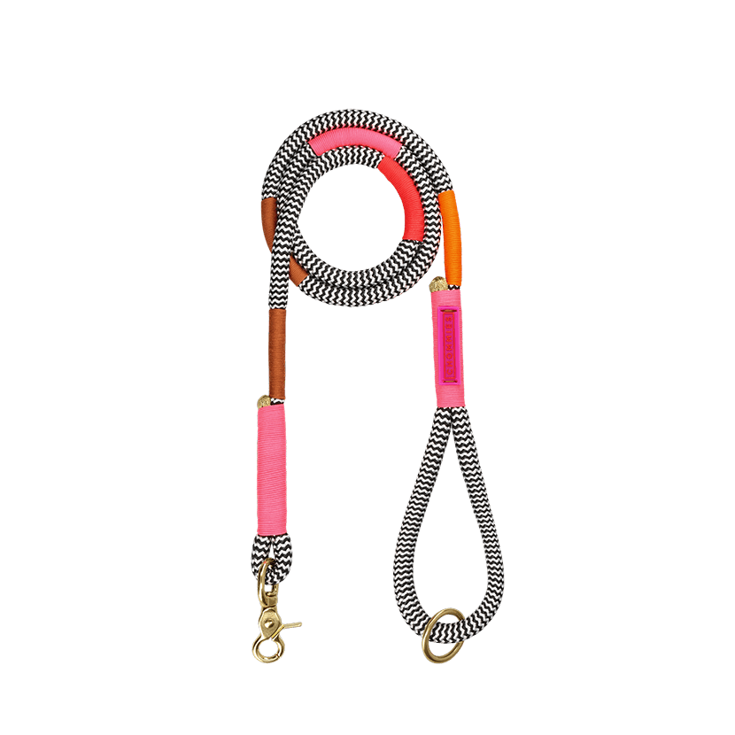 Everyday Dog Leash | Shongololo on BW