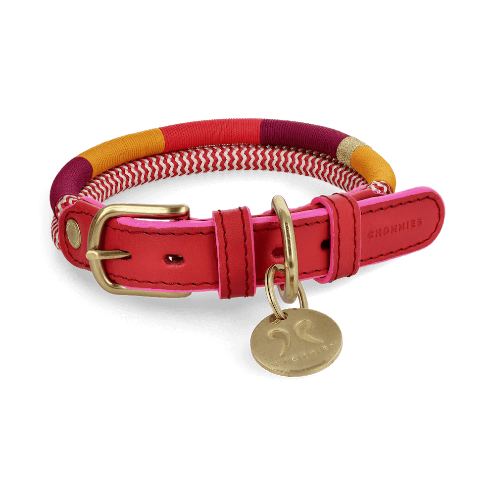 Adjustable Dog Collar | Fezzy