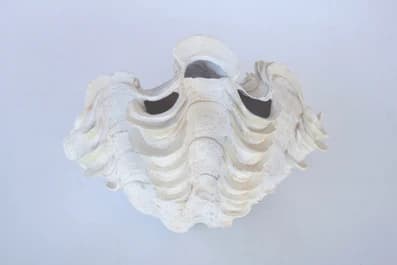 Clam Shell