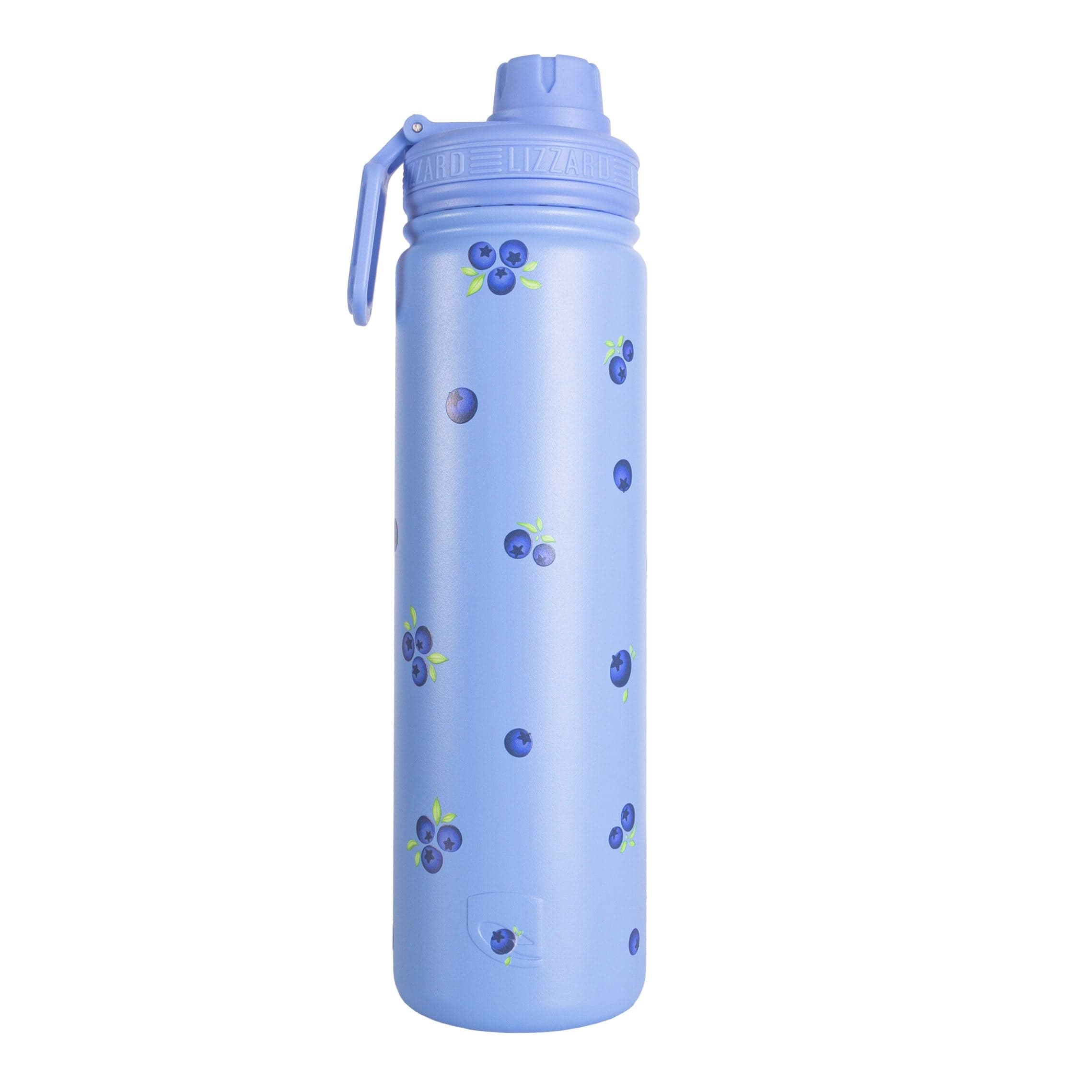 Lizzard 650Ml Printed Flask