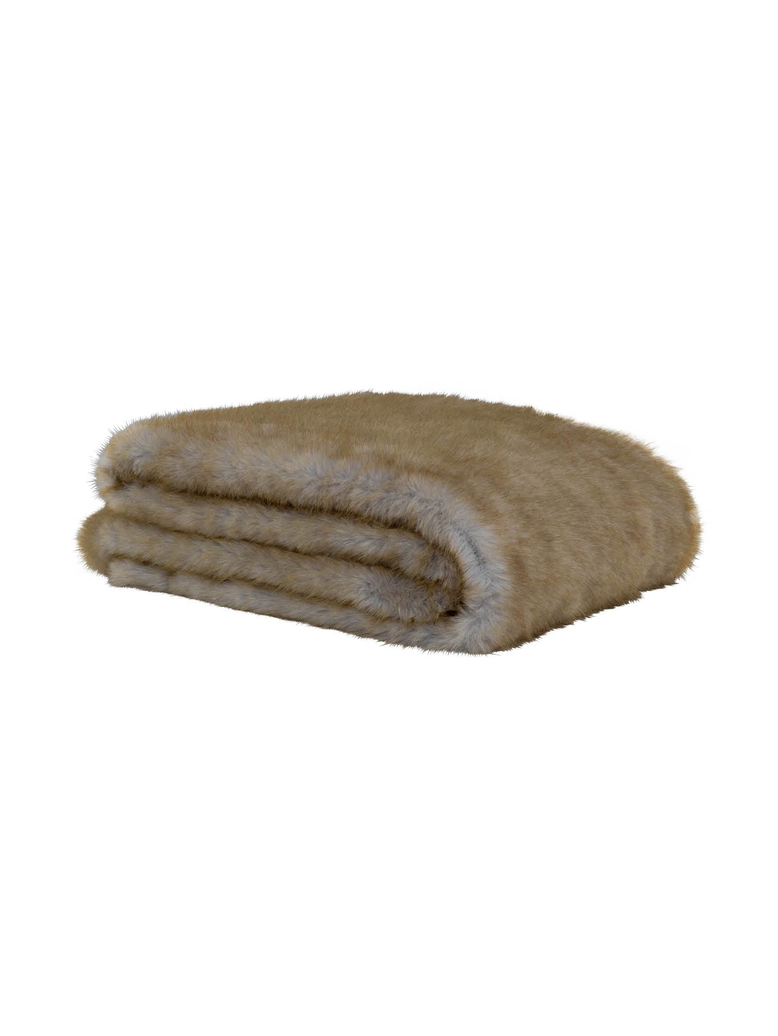 Caracul Fur in Savanna