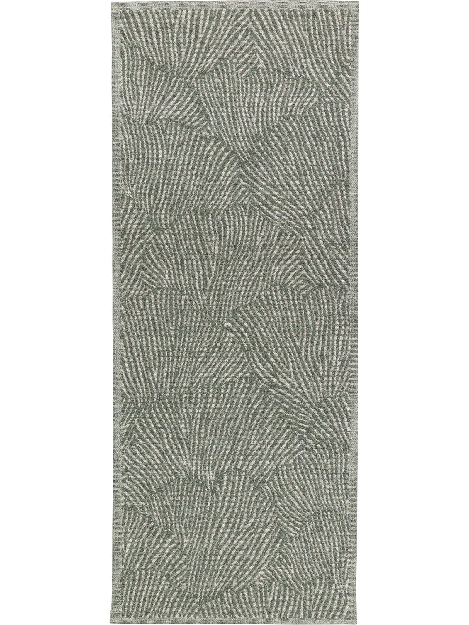 Seychelles Runner in Kelp