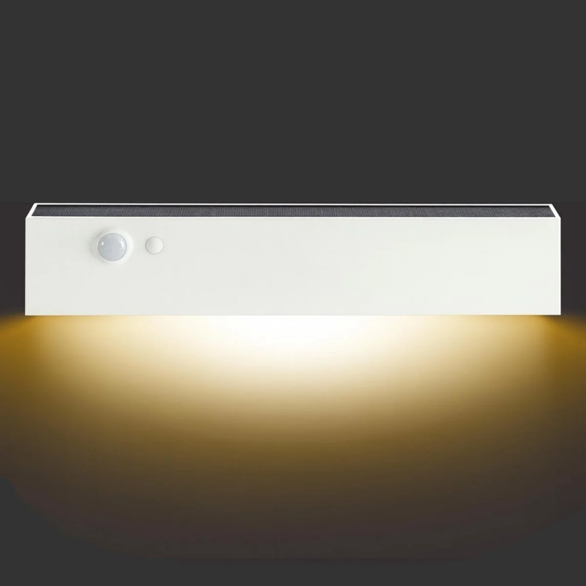 Solar Wall Light with Motion Sensor