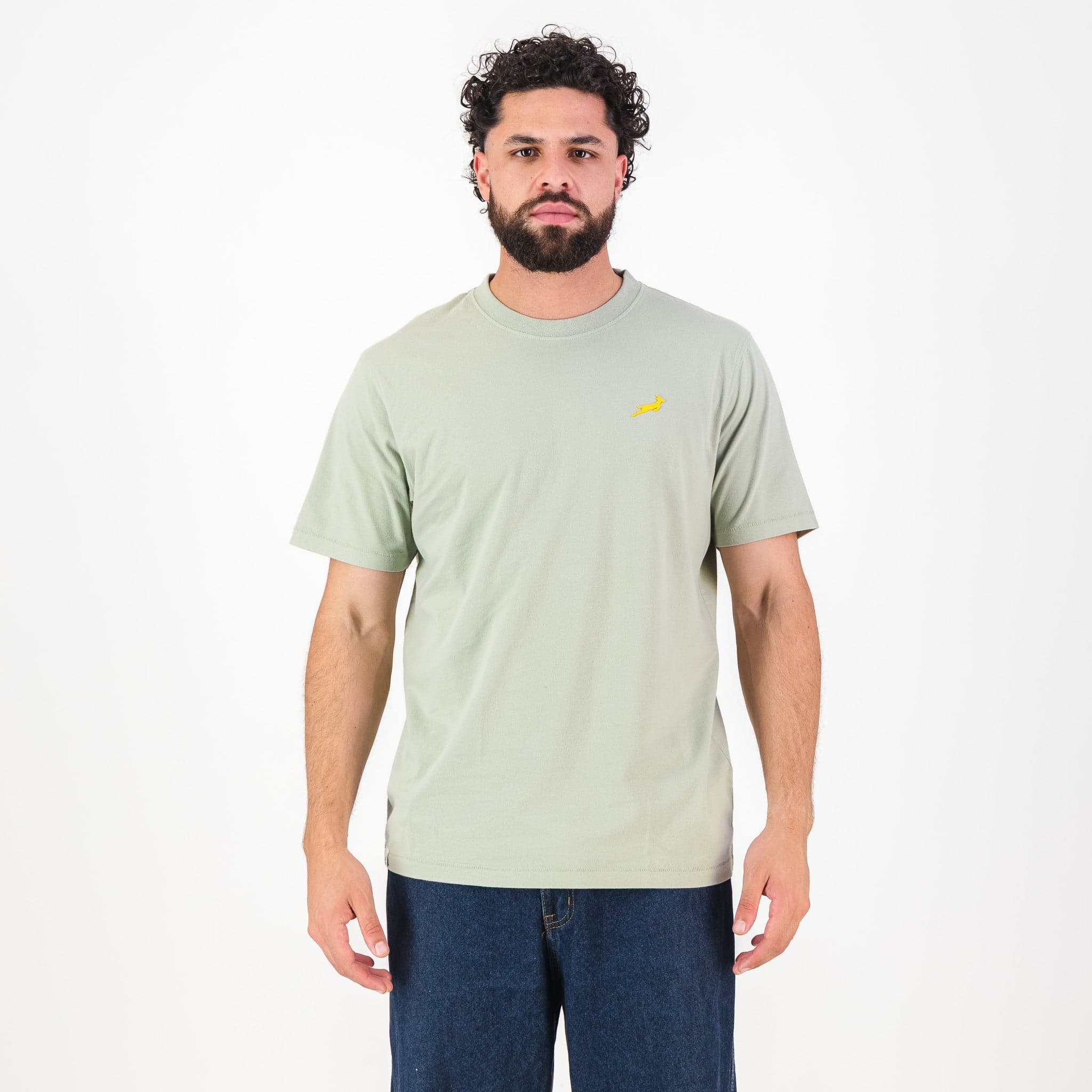 Springboks Regular Crew Tee Desert Sage