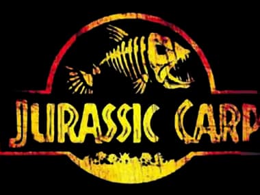 Jurassic Carp Tiger nuts
