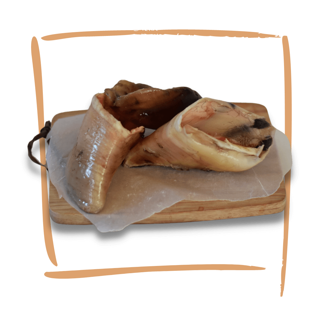 Raw Untrimmed Hoof