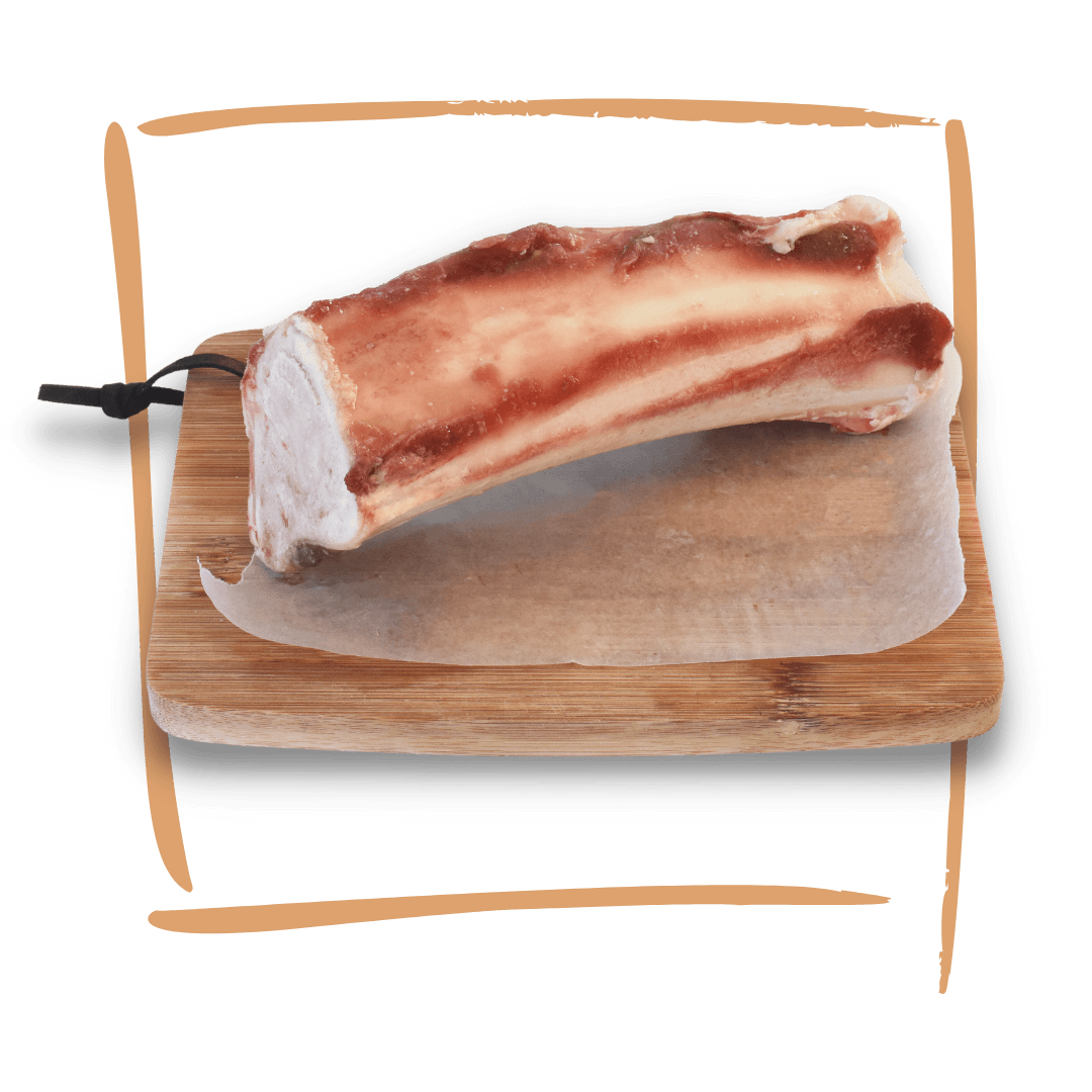 Marrow Bone