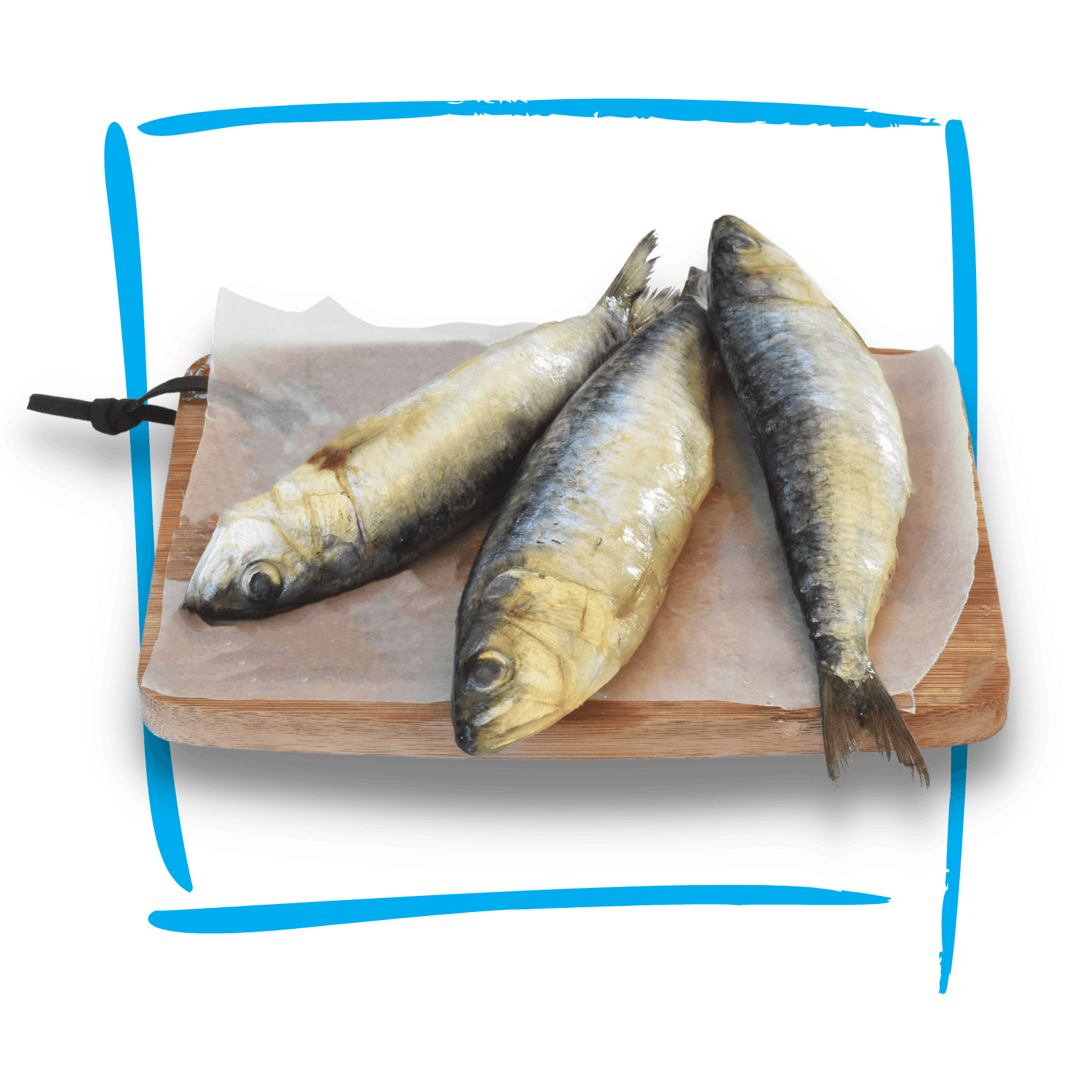 Sardines 600g