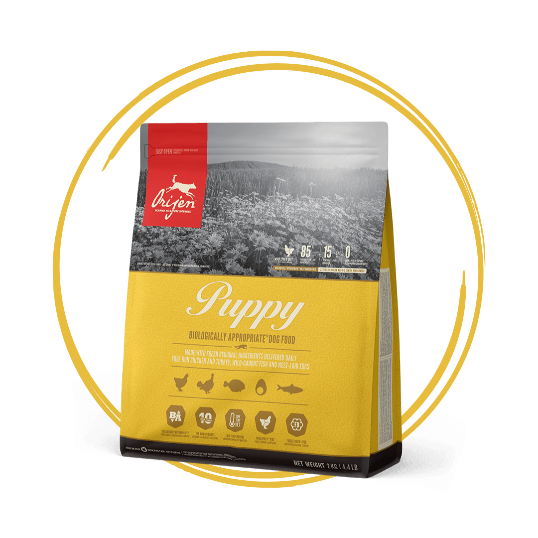 Orijen Puppy Dog Food