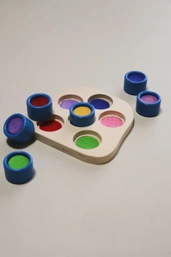 Sensory Match Up