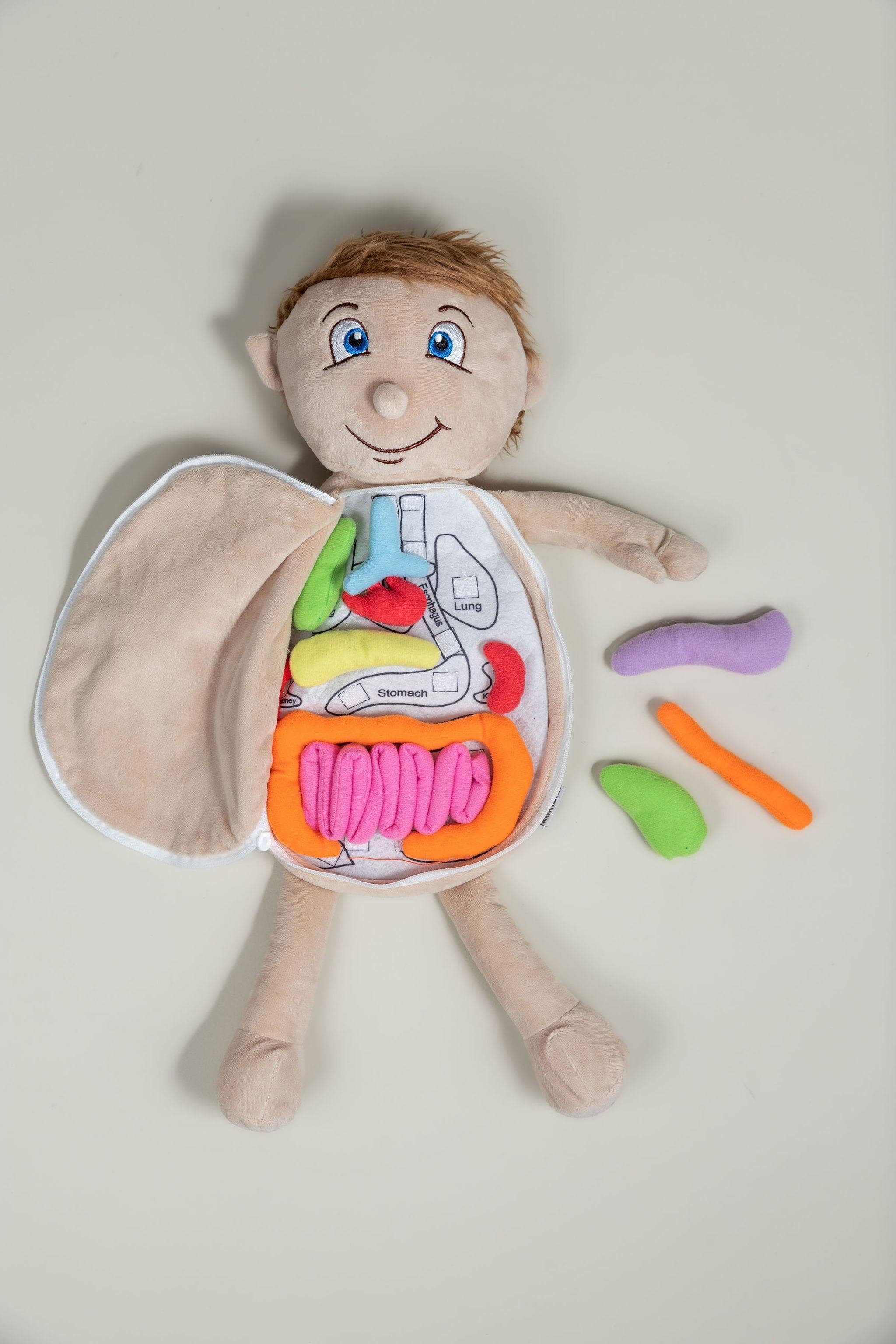 What's Inside Me Dolls? - Various Colours