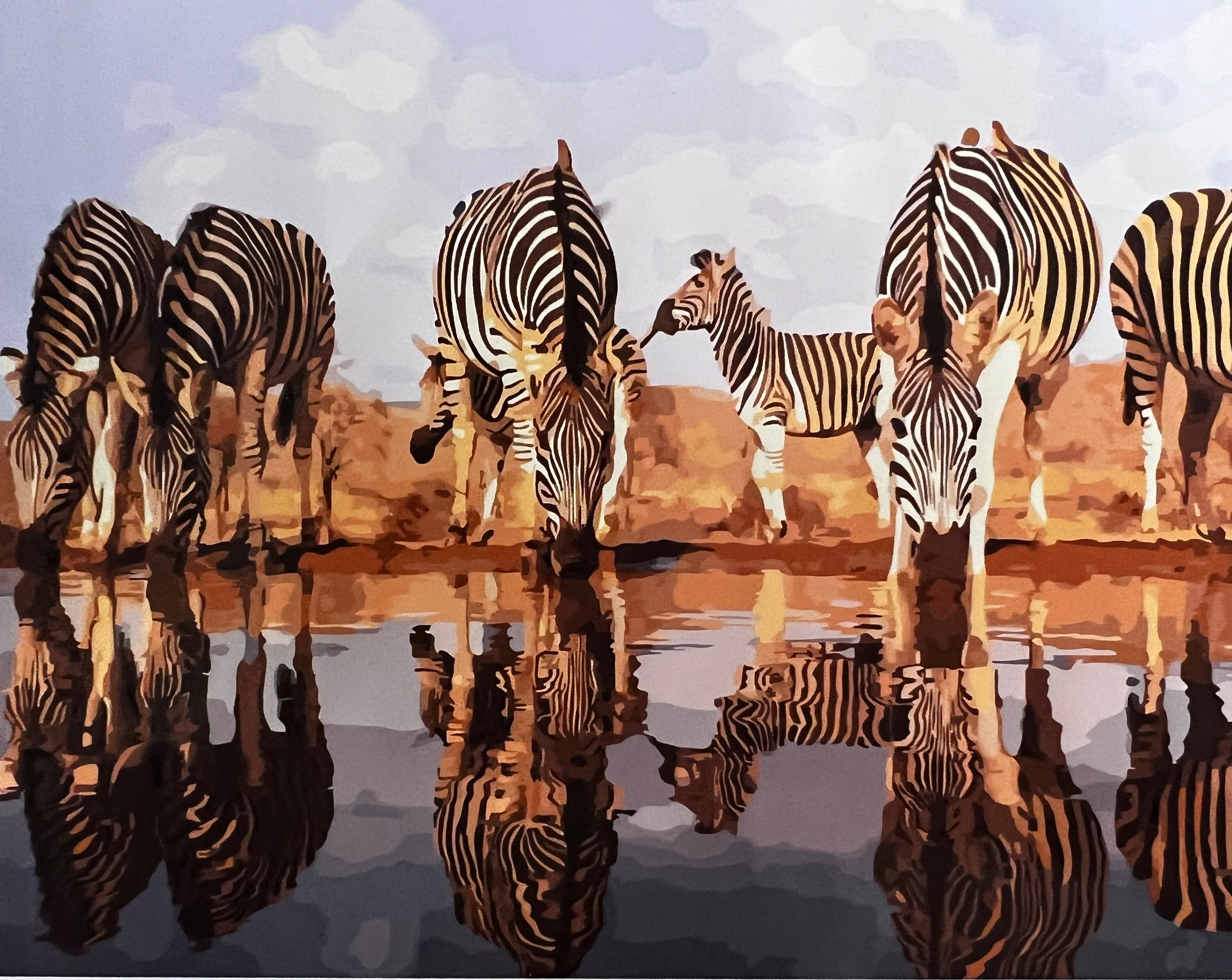 Zebras