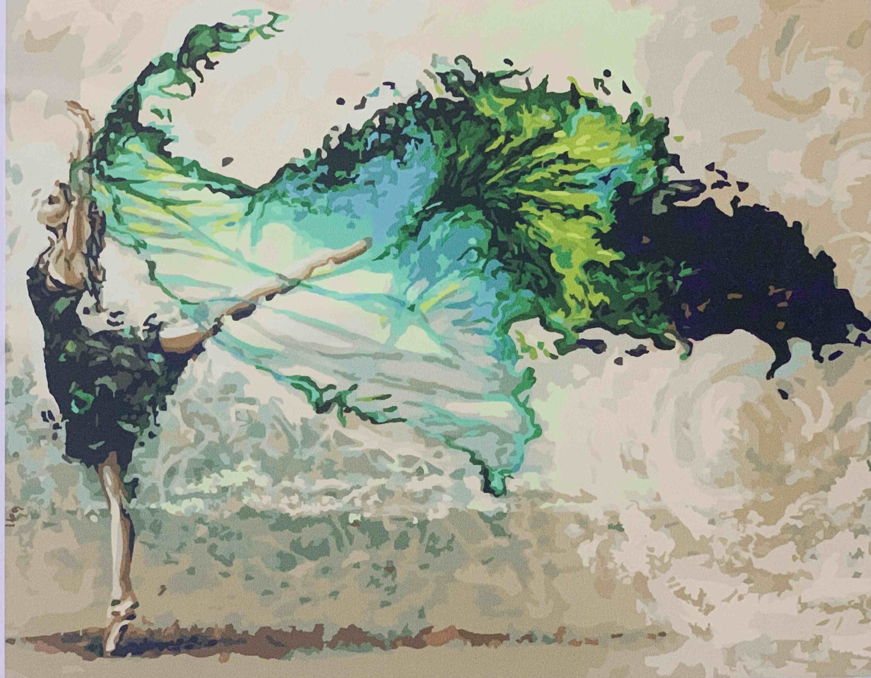 Beautiful Ballerina