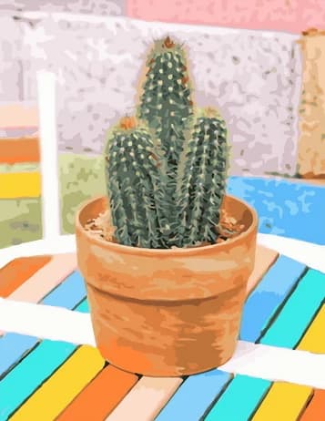 Colourful Cactus