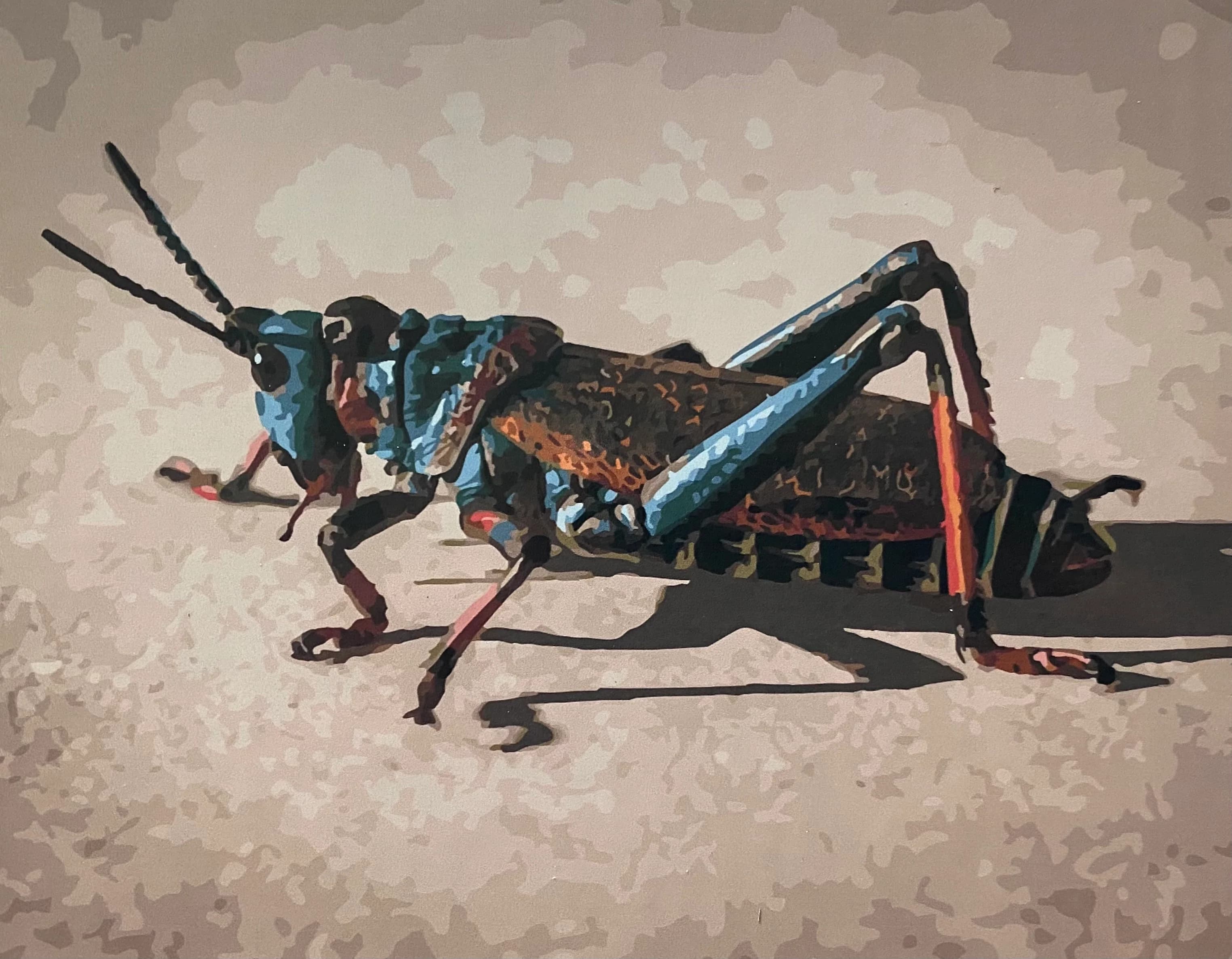 Grasshopper