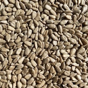 Sunflower Seeds (450g)
