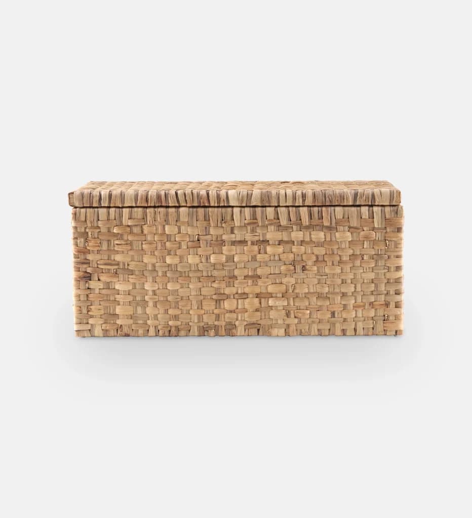 Donovan Trunk