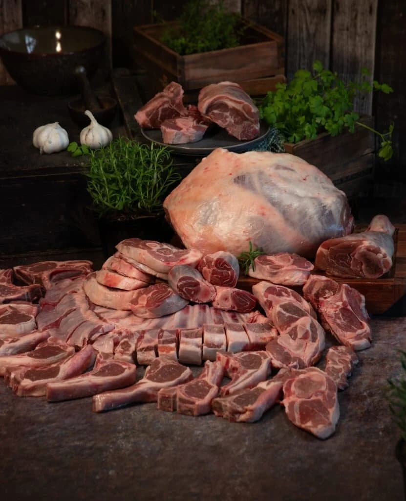Half Dorper Karoo Lamb