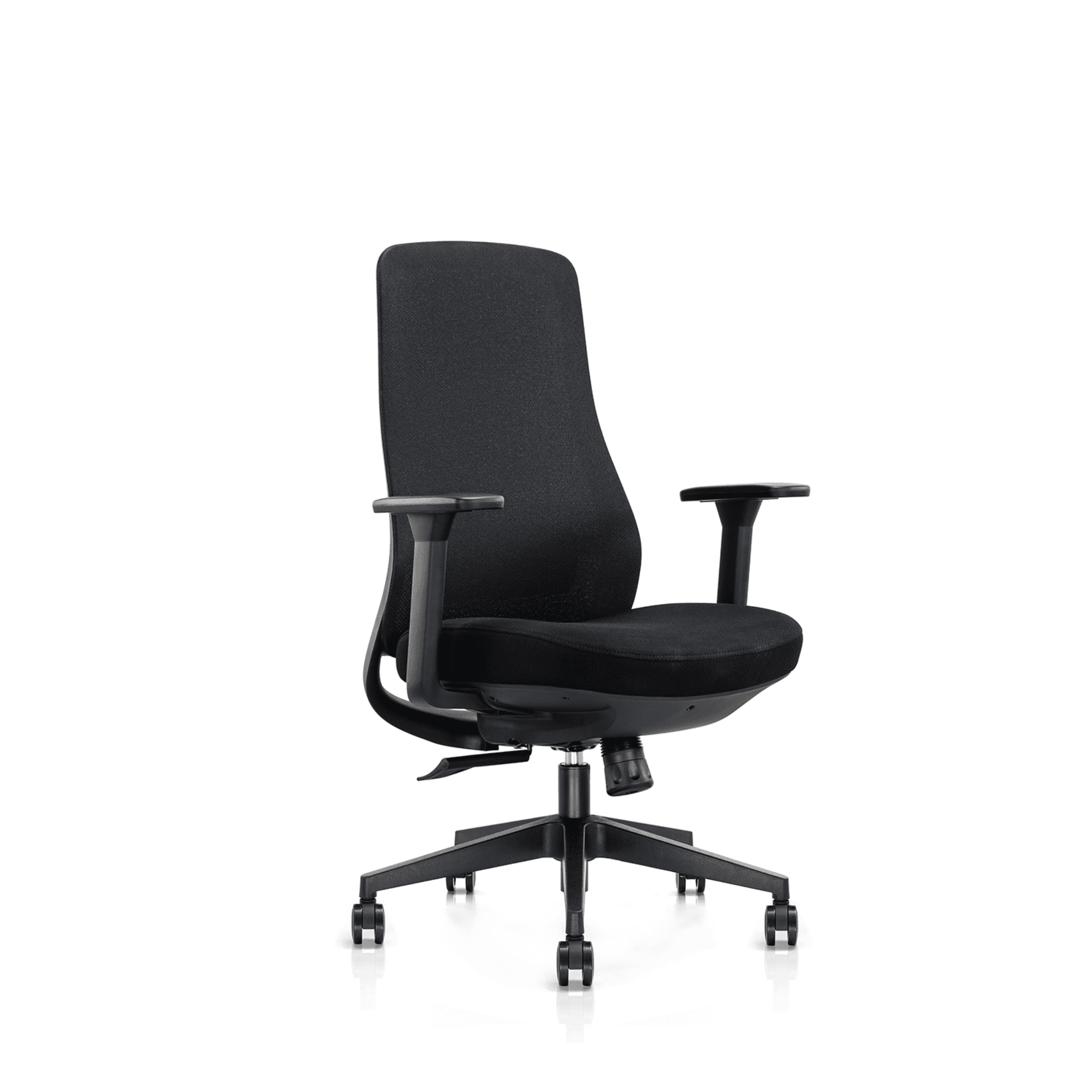 Ergo Contour Ergonomic Chair