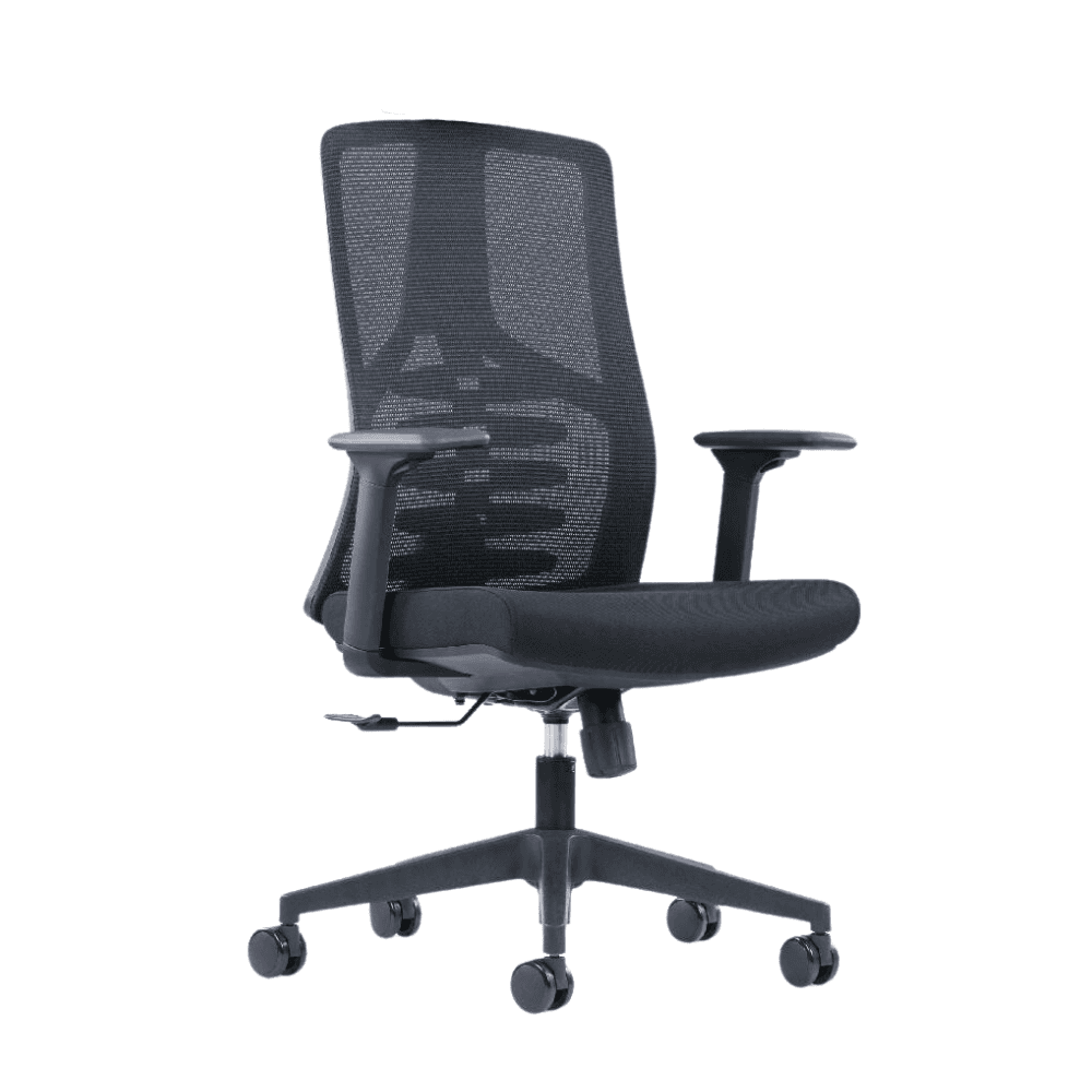 Ergo Everybody Ergonomic Chair