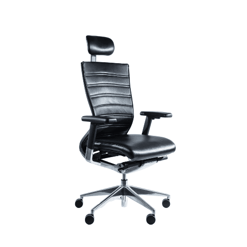 Begin Leather with Headrest