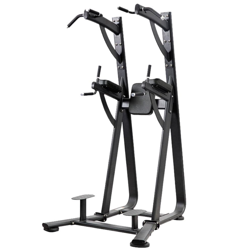 Shua 68 Series Chin Dip Leg Raise Station