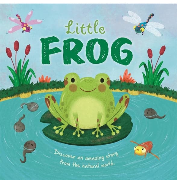Little Frog B/B