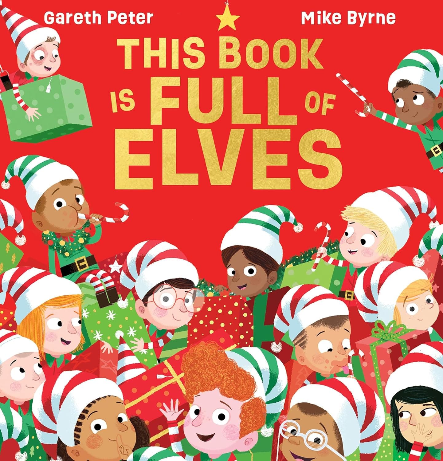 This Book Is Full Of Elves S/C