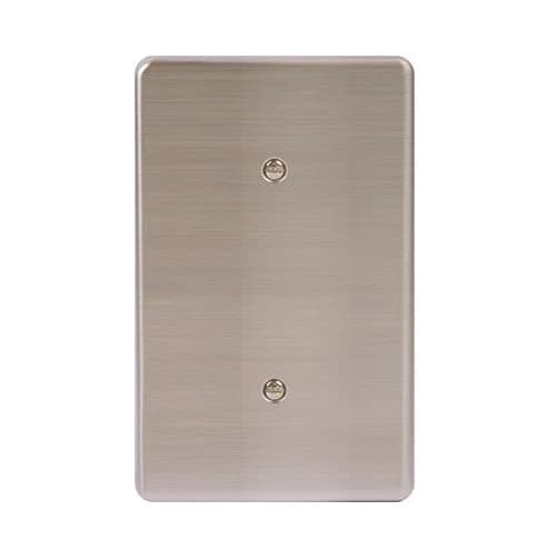 Lesco Stainless Steel Cover Plate Blank 2x4