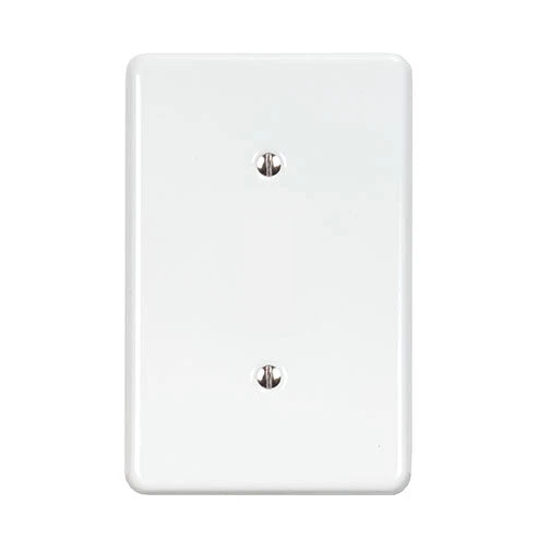 Lesco Steel Cover Plate Blank 2x4