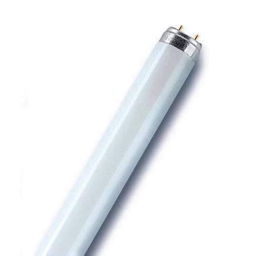 LEDVANCE LUMILUX T8 Fluorescent Tube G13 36W 3150lm 6500K 1200mm