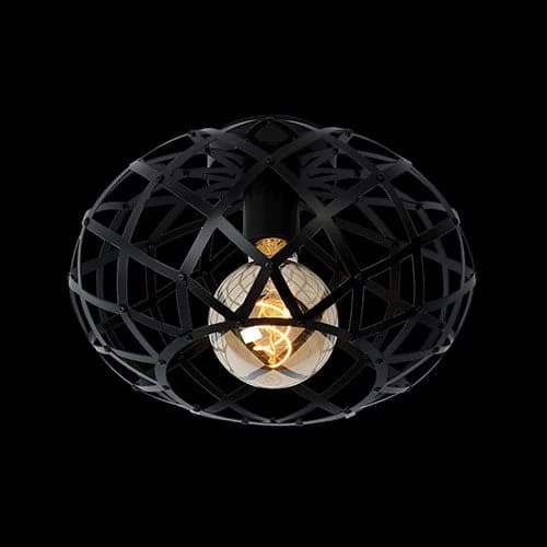 K. Light Nest Caged Round Ceiling Light