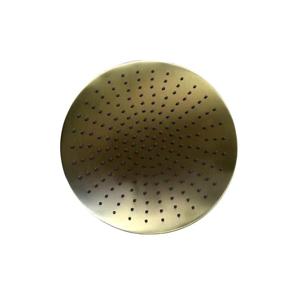 Trendy Taps Large Shower Head - Brushed Gold