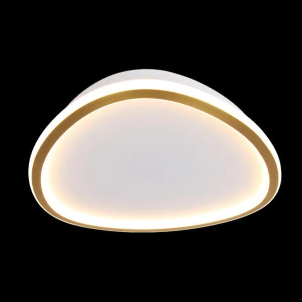 K. Light Ovoid Large LED Ceiling Light 3000K