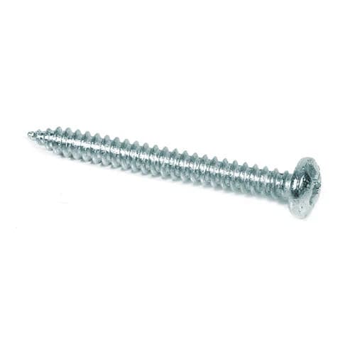 Ruwag Self Tapping Screw 5.5 x 25mm (10)