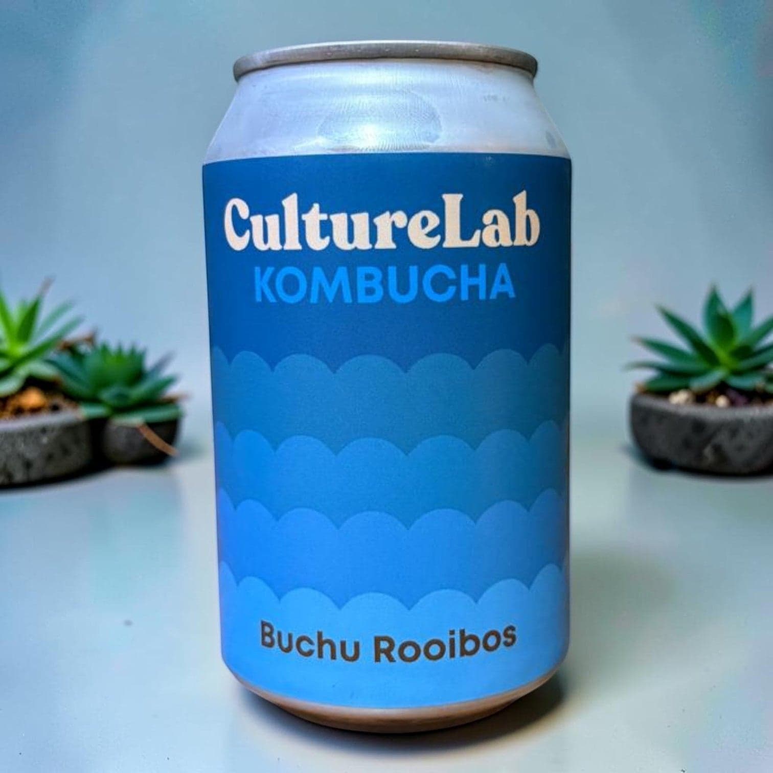 Culture Lab - Buchu Rooibos Kombucha