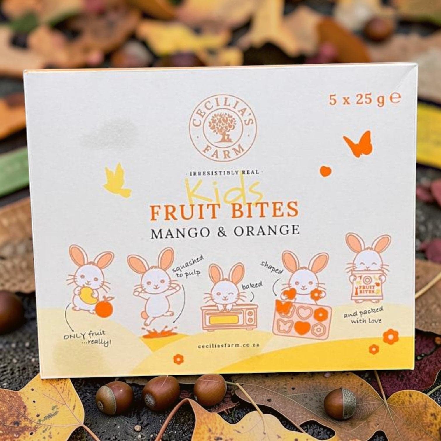 Cecilias Farm - Mango & Orange Kids Fruit Bites