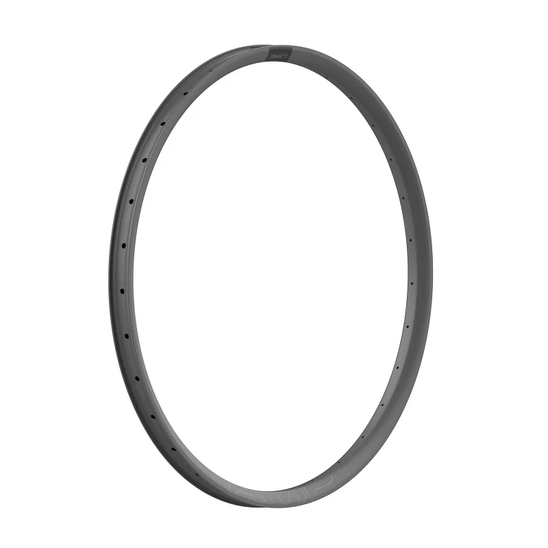 LYNE AMP Carbon 29" Rim