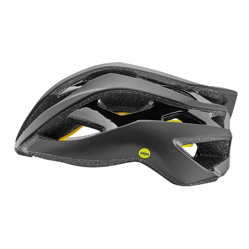 GIANT REV MIPS Helmet (Sale)