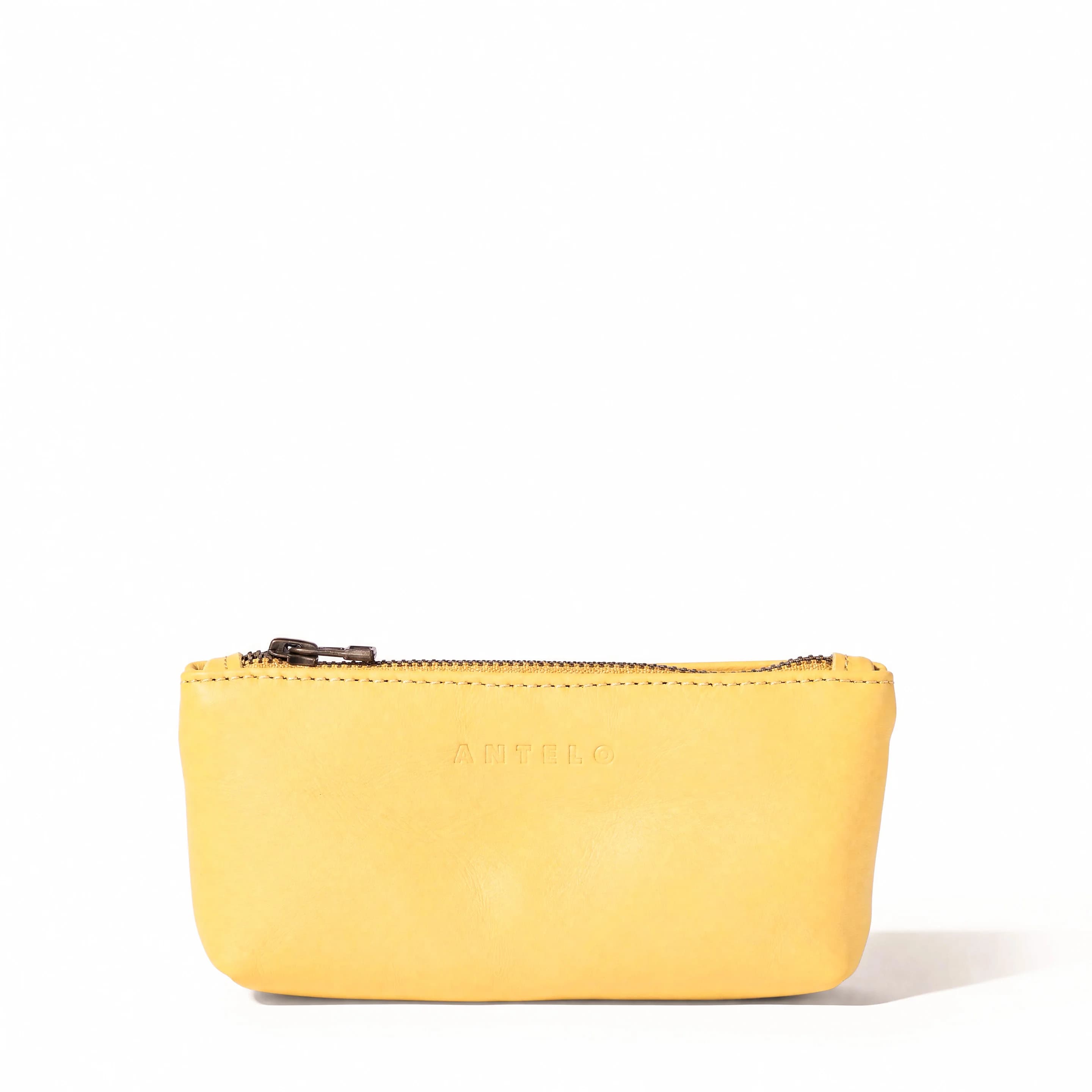 Sofia leather zip pouch