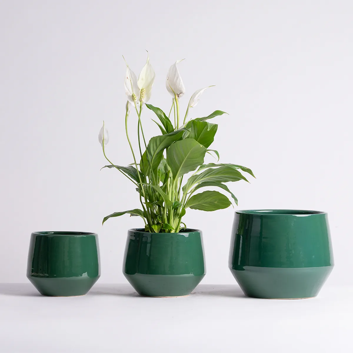 Pogo Planter - Heritage Green