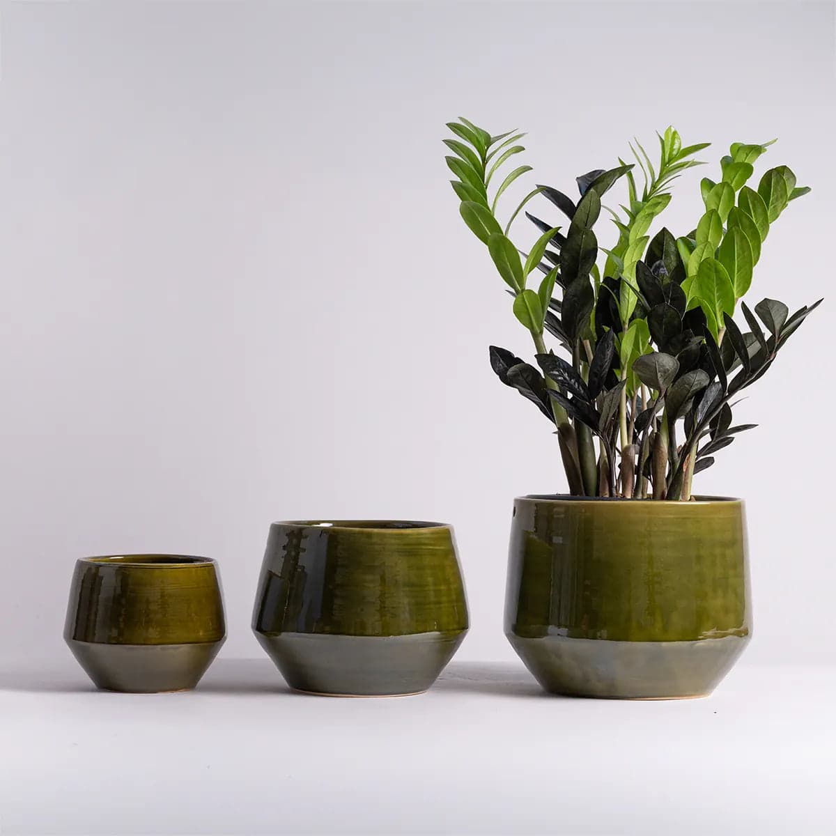 Pogo Planter - Vintage Green