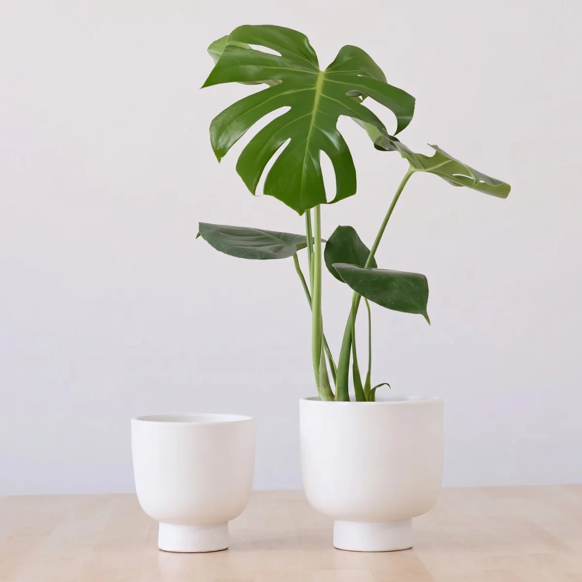 Shing Plinth Planter - White