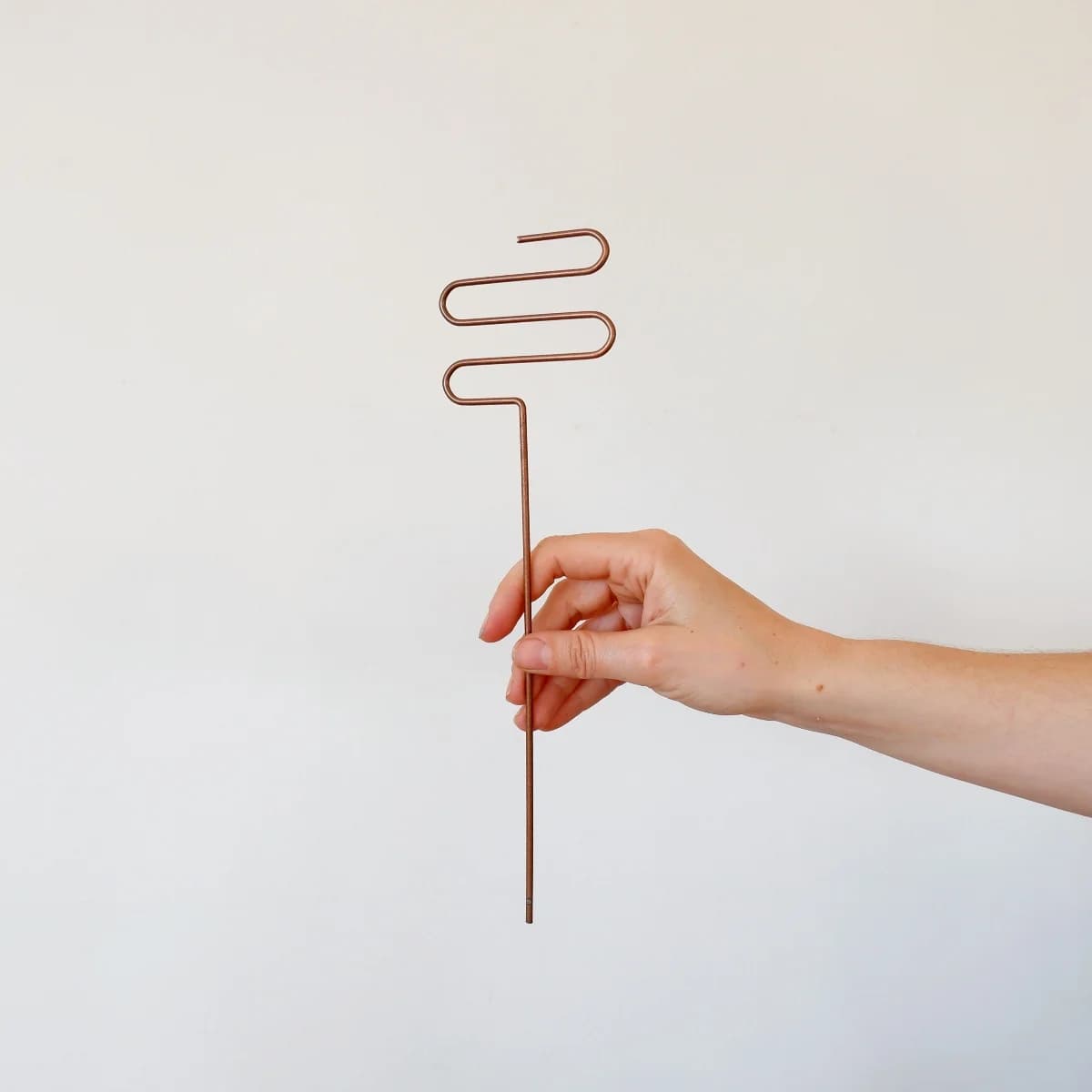 Plant Support - Squiggle